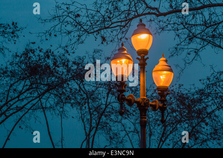 Niedrigen Winkel Blick auf beleuchteten Straßenlaterne gegen Baum in der Dämmerung Stockfoto