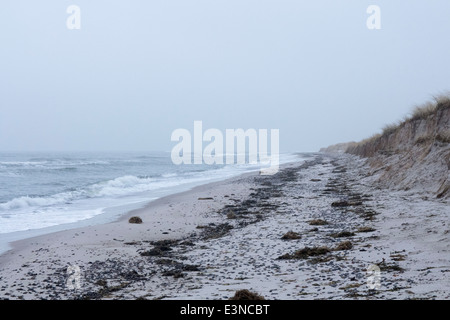 Ruhigen Blick auf Ostsee gegen bedecktem Himmel, Prerow, Deutschland Stockfoto