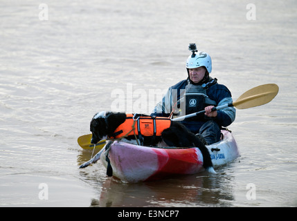 Ein Hund mit einer Schwimmweste auf dem Paddelboot warten auf die Severn Bore am Newnham auf Severn, Gloucestershire UK 2014 Stockfoto