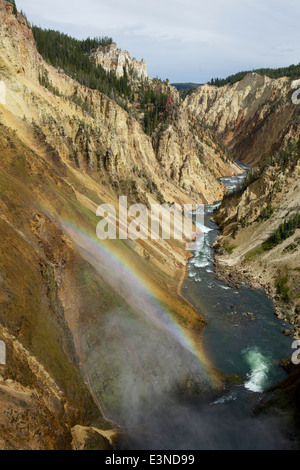 Blick auf den Grand Canyon auf Yellowstone River und Stromschnellen, gesehen von der Aussichtsplattform oberhalb der unteren Wasserfälle mit Regenbogen Stockfoto