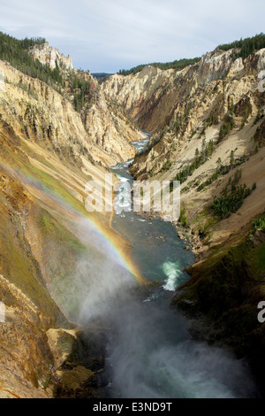 Blick auf den Grand Canyon auf Yellowstone River und Stromschnellen, gesehen von der Aussichtsplattform oberhalb der unteren Wasserfälle mit Regenbogen Stockfoto