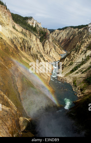 Blick auf den Grand Canyon auf Yellowstone River und Stromschnellen, gesehen von der Aussichtsplattform oberhalb der unteren Wasserfälle mit Regenbogen Stockfoto