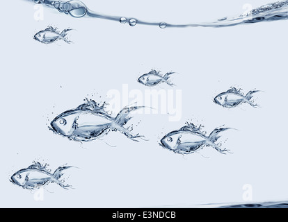 Gruppe von Wasser Fischen schwimmen Stockfoto