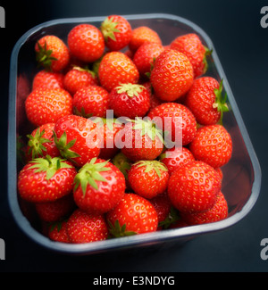 Eine Plastik Körbchen englische Erdbeeren Stockfoto