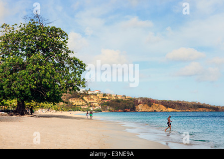 Ansicht Süd Grand Anse Strand in Richtung Quarantäne Point, St. George, Grenada, West Indies Stockfoto