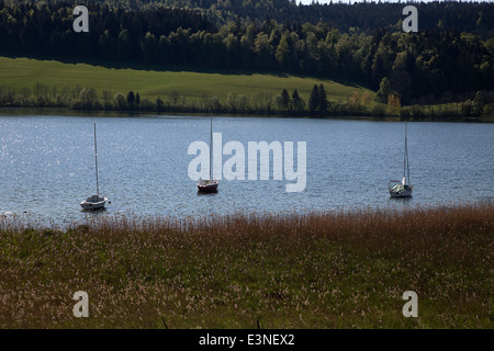 Drei Segelboote verankert im französischen See Lac Saint Point, Franch-Comté, Doubs, Frankreich Stockfoto