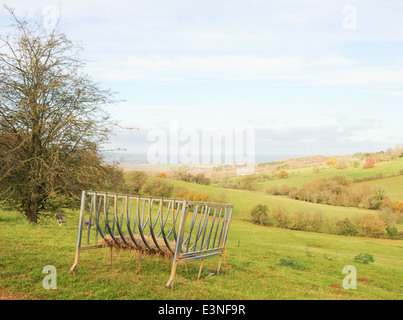 Metall-Tierzubringer auf einem Feld auf einer Farm in der Nähe von Winchcombe in den Cotswolds, Gloucestershire, England, Großbritannien Stockfoto