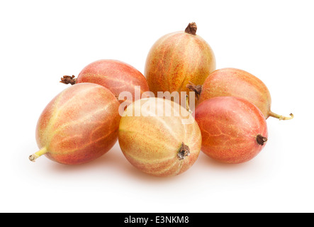 Stachelbeere, isoliert Stockfoto