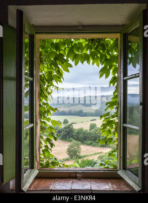 Blick vom Schlafzimmer Fenster der Villa von den Nebeln in über die Berge rollen, sehr früh, Santa Colomba, Siena, Toskana, Italien Stockfoto