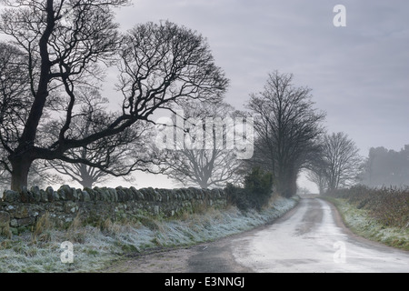 Eine kleine Straße und eine Steinmauer an einem nebligen, nebligen englische Landschaft. Shropshire, England. Stockfoto