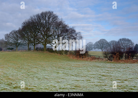 Bäume, Zaun, frostigen Nebel Feld und blauen Wolkenhimmel. Shropshire, England. Stockfoto