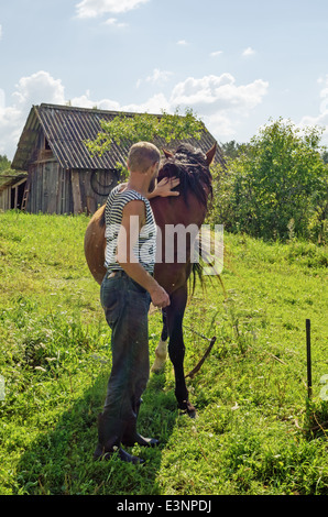 Klassische Heuernte in Belarus-Dorf. Pferd für den Transport von Heu auf den Wagen. Stockfoto