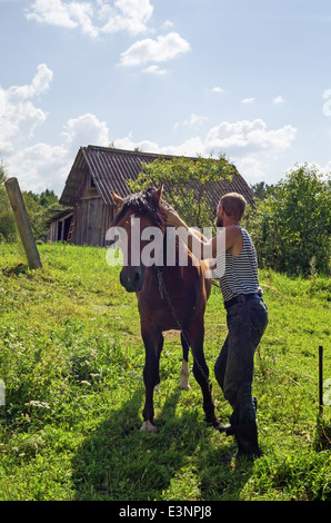 Klassische Heuernte in Belarus-Dorf. Pferd für den Transport von Heu auf den Wagen. Stockfoto