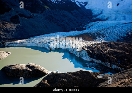 Torre-Gletscher. Nationalpark Los Glaciares. Patagonien. Argentinien Stockfoto