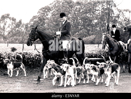 Die Limuru Hunt, Master, Jagdhunden und alle, war eine alle Rennen-Funktion des Landlebens in Kenia im Jahr 1970 Stockfoto