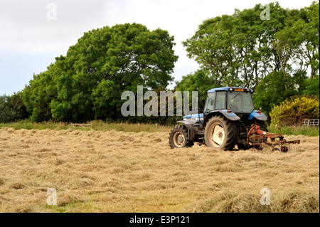 Traktor mit "Heu-Bob", verwendet für das Drehen von Grasschnitt trocknen für Heu oder silage Stockfoto