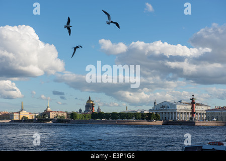 St. Petersburg. Blick auf Vasilevsky Insel und Möwen Stockfoto