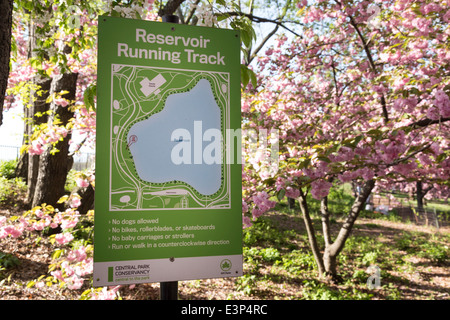 Stausee Stephanie und Fred Shuman Laufbahnschild in blühenden Bäumen des Frühlings, Central Park, NYC, USA Stockfoto