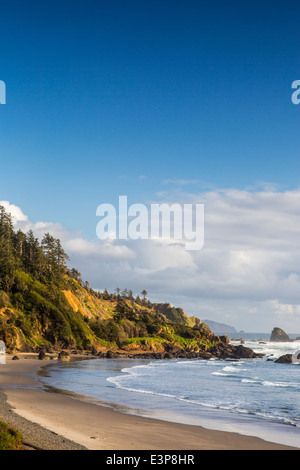 Indian Beach im Ecola State Park in Cannon Beach, Oregon, USA Stockfoto