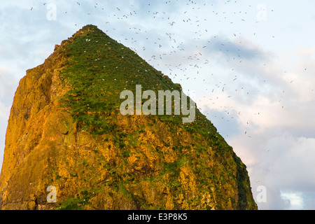 Licht des Morgens Sonnenaufgang bricht durch die Wolken und Streiks Haystack Rock in Cannon Beach, Oregon, USA Stockfoto