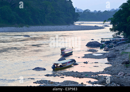 Am Amazonas Napo Fluss im Regenwald bei Sonnenaufgang. Ecuador Stockfoto