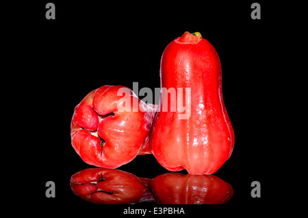 Rose-Äpfel auf schwarzem Hintergrund Stockfoto