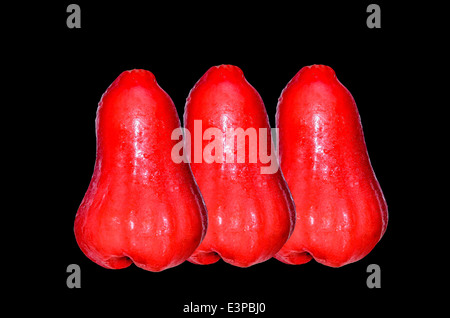 Rose-Äpfel Stockfoto