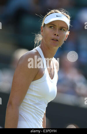 London, Großbritannien. 24. Juni 2014. Maria Sharapova Russlands konkurriert in der Frauen Singles ersten Vorrundenspiel gegen Samantha Murray von Großbritannien bei der 2014 Wimbledon Championships in London, Großbritannien, am 24. Juni 2014. Sharapova gewann 2: 0. © Meng Yongmin/Xinhua/Alamy Live-Nachrichten Stockfoto