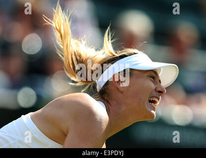 London, Großbritannien. 24. Juni 2014. Maria Sharapova Russlands konkurriert in der Frauen Singles ersten Vorrundenspiel gegen Samantha Murray von Großbritannien bei der 2014 Wimbledon Championships in London, Großbritannien, am 24. Juni 2014. Sharapova gewann 2: 0. © Meng Yongmin/Xinhua/Alamy Live-Nachrichten Stockfoto