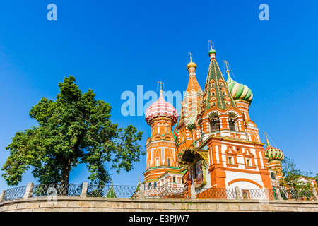 Basilius Kathedrale am Roten Platz in Moskau, frischer grüner Baum gegen klaren blauen Himmel des sonnigen Morgen des Juni 2014 Stockfoto