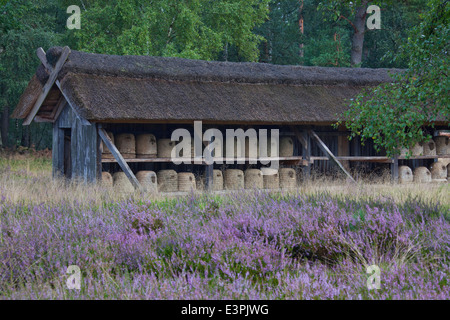 Traditionelle Bienenstöcke (Skeps) hergestellt aus Stroh in einem Bienenhaus. Lüneburger Heide, Niedersachsen, Deutschland Stockfoto