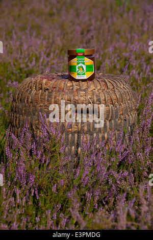 Traditionelle Bienenstöcke (Skeps) aus Stroh mit einem Glas Honig hergestellt. Lüneburger Heide, Niedersachsen, Deutschland Stockfoto