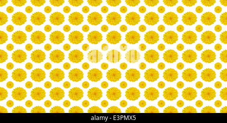 Gelben Blumenmuster auf weißem Hintergrund Stockfoto