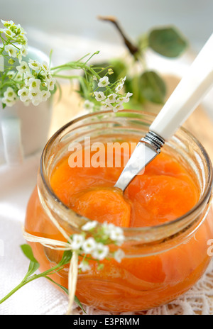 Ein Marmeladenglas voll mit Marillenmarmelade Stockfoto