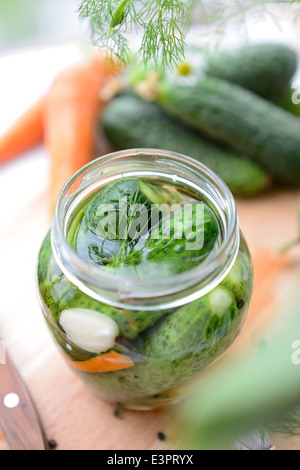 Frische Gurken im Glas, nur mit Salzwasser gefüllt. Stockfoto