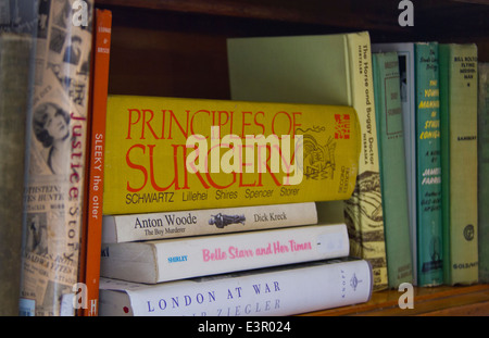 Bücher, Antiquitäten und alte Elemente im Store in Leadville, Colorado Stockfoto