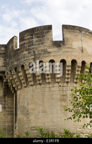 Teil der Stadtmauer in Avignon, Provence, Frankreich Stockfoto