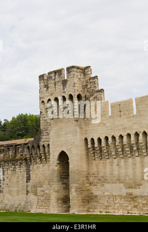 Teil der Stadtmauer in Avignon, Provence, Frankreich Stockfoto
