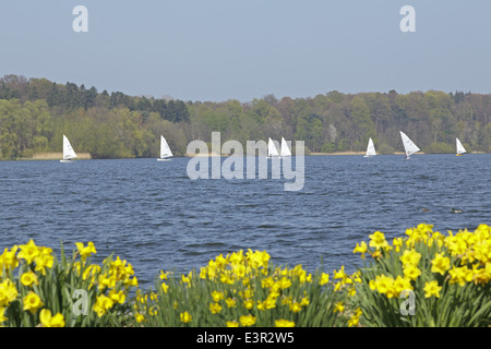 Segeln Boote, großer See, Eutin, Schleswig-Holstein, Deutschland Stockfoto