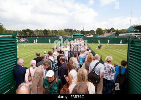 Wimbledon Tennis - Massen bei den All England Lawn Tennis Championships, Juni 2014 Stockfoto