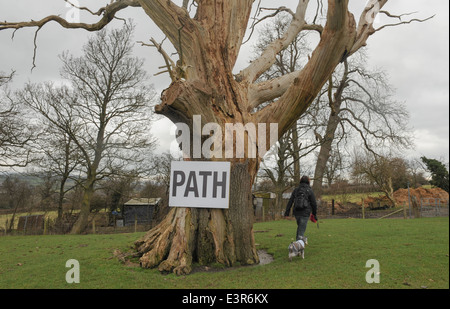 Frau und ein Schnauzer Hund, der von einem Baum mit einem "Pfad"-Schild in der Nähe von Winchcombe in den Cotswolds, Gloucestershire, England, Großbritannien, entfernt ist Stockfoto