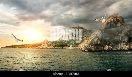 Möwe über das Meer in den Bergen Stockfoto