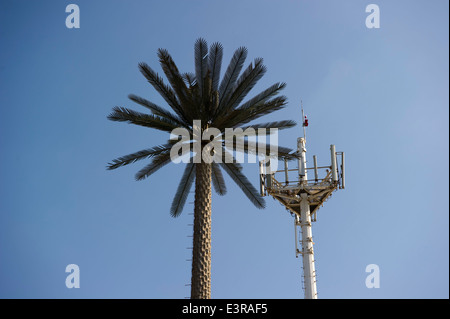 Ein Handy-Turm um eine Palme entlang Seite nicht getarnten Mobilfunkmast aussehen getarnt. Abu Dhabi. Stockfoto