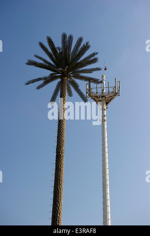 Ein Handy-Turm um eine Palme entlang Seite nicht getarnten Mobilfunkmast aussehen getarnt. Abu Dhabi. Stockfoto