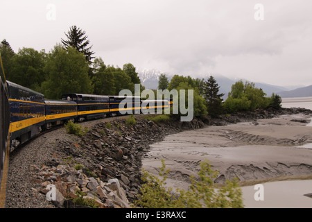 Alaska Railroad, Alaska-Elch, Gletscher, Insel im Nebel. Stockfoto