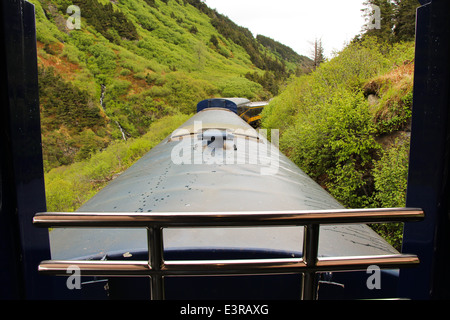 Alaska Railroad, Alaska-Elch, Gletscher, Insel im Nebel. Stockfoto