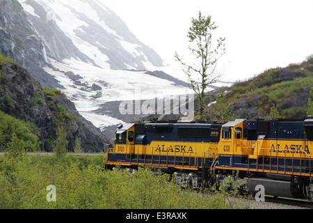 Alaska Railroad, Alaska-Elch, Gletscher, Insel im Nebel. Stockfoto