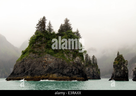 Alaska Railroad, Alaska-Elch, Gletscher, Insel im Nebel. Stockfoto