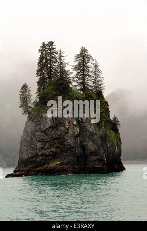 Alaska Railroad, Alaska-Elch, Gletscher, Insel im Nebel. Stockfoto