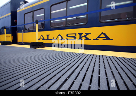 Alaska Railroad, Alaska-Elch, Gletscher, Insel im Nebel. Stockfoto